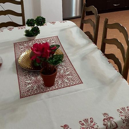 City Center Apartment Shkodër Esterno foto