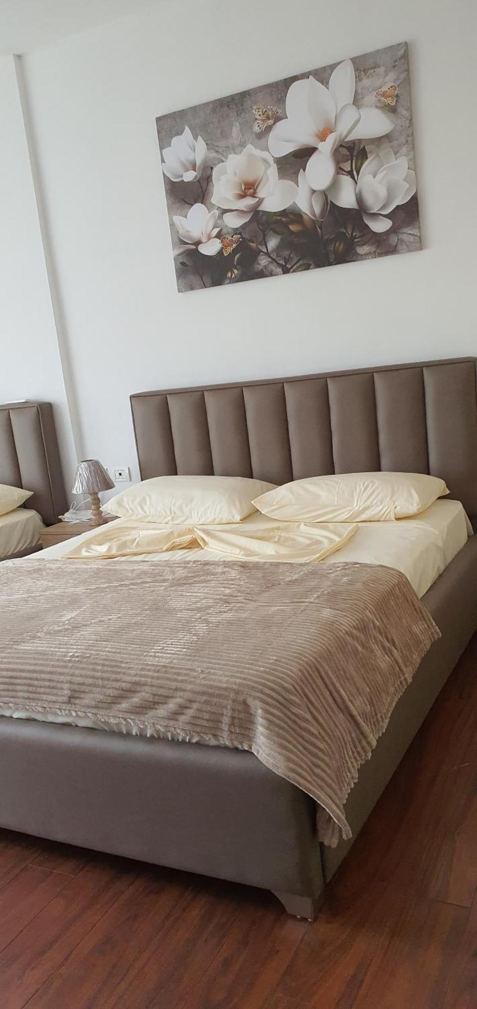 City Center Apartment Shkodër Esterno foto
